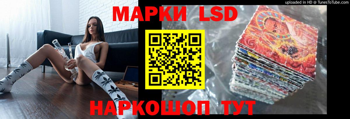 Галлюциногенные грибы Москва