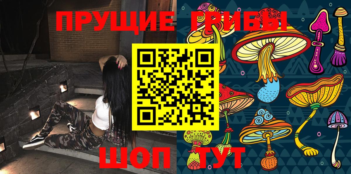 Галлюциногенные грибы GOLDEN TEACHER  Вход с VPN  Москва  Псилоцибиновые грибы GOLDEN TEACHER 