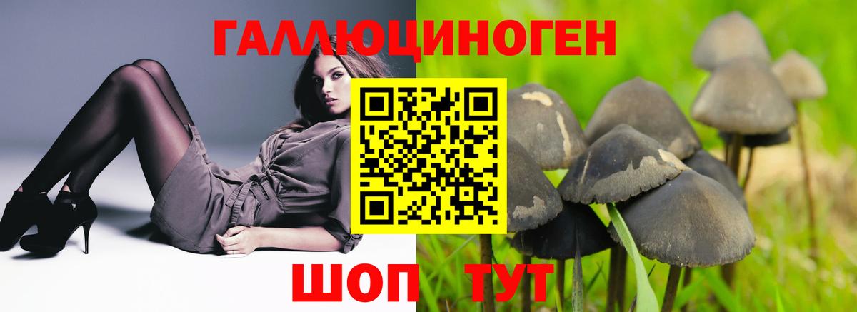 Псилоцибиновые грибы MAGIC MUSHROOMS Москва